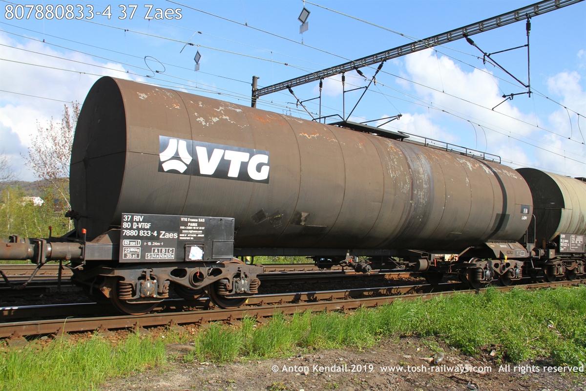 807880833-4_37 Zaes.JPG